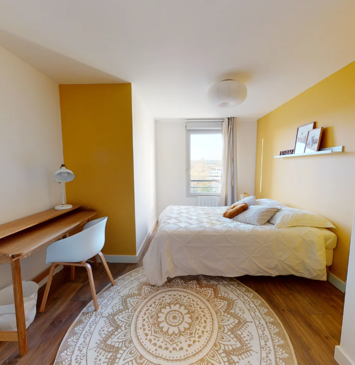 Grand T5 de 90m2, Villeurbanne